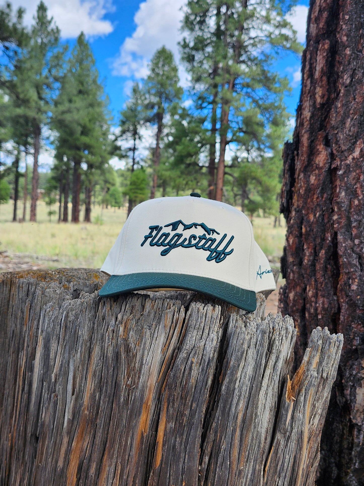 Classic Flagstaff Snapback Hat