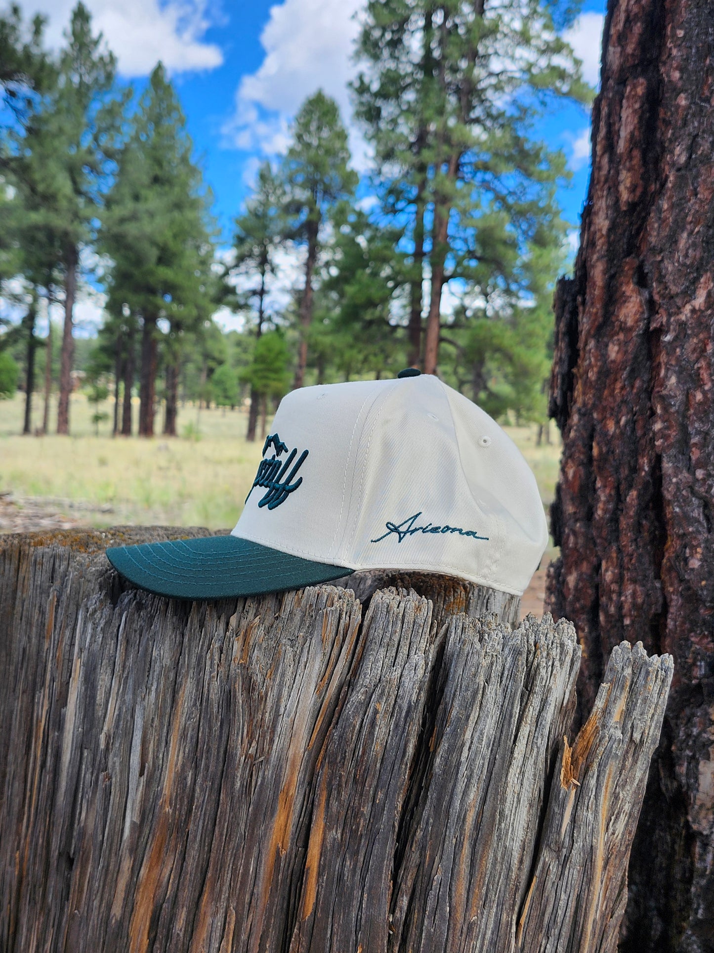 Classic Flagstaff Snapback Hat