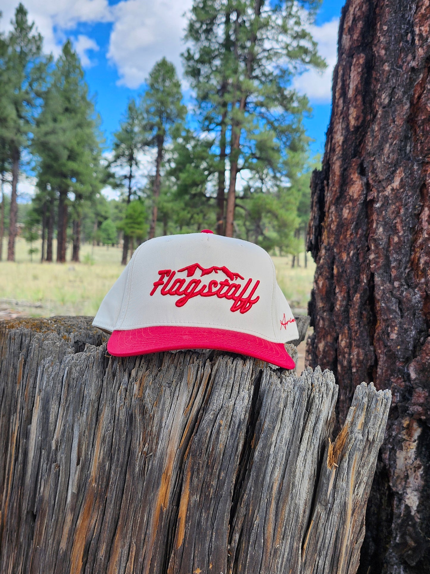 Classic Flagstaff Snapback Hat