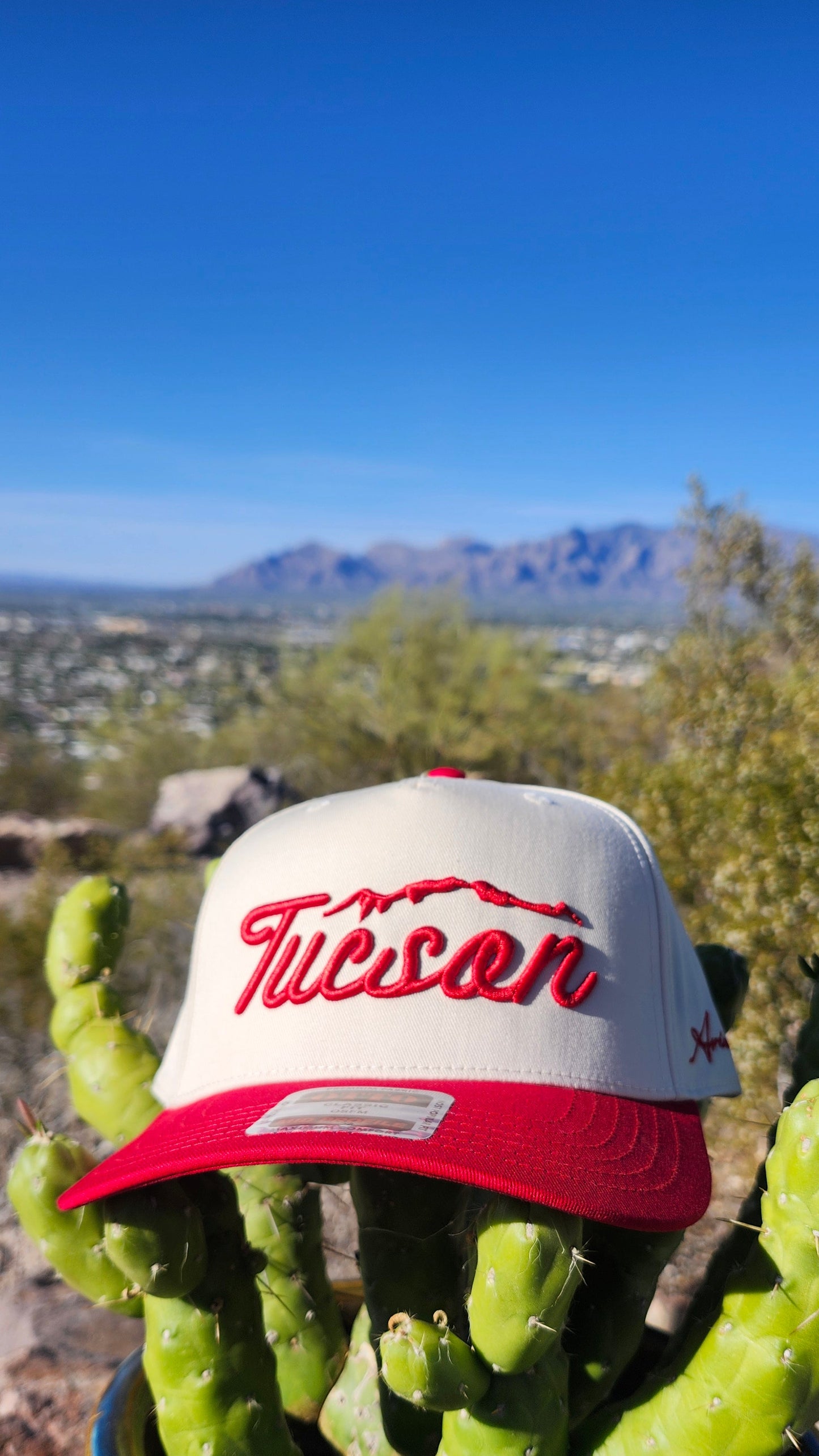 Tucson Classic Hat Red Natural